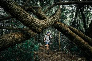 BIB: 
                            <button type="button" onclick="openModal(25707462)" class="btn btn-primary btn-sm float-right btn-popup" data-toggle="modal" data-target=".modal-high-quality">
                        <i class="fas fa-shopping-cart"></i> Add to Cart
                    </button>
                                            <button type="button" onclick="isThisMe(25707462, true)" class="btn btn-success btn-sm float-right btn-popup btn-isme hidden" data-toggle="tooltip" data-placement="bottom" title="นี่คือรูปของคุณใช่ไหม คลิกที่นี่เพื่อเอาเข้าอัลบั้ม">
                        <i class="fas fa-plus"></i> Add to album
                    </button>
                    <button type="button" onclick="isThisMe(25707462, false)" class="btn btn-warning btn-sm float-right btn-popup btn-isnotme hidden">
                        <i class="fas fa-ban"></i> Remove from album
                    </button>